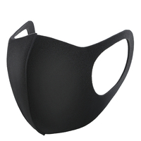 FIND™ 1 PCS Plain Black Face Masks